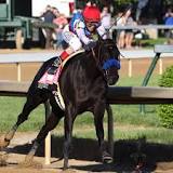 what-famous-racehorse-just-died