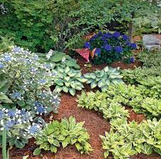 Low Maintenance Landscaping Tips