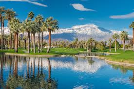 greater palm springs this winter