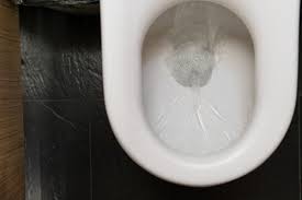 How To Unblock A Badly Clogged Toilet
