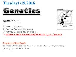 Tuesday1 19 2016 Agenda Pedigrees Notes Pedigrees