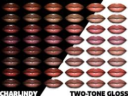 charlindy two tone lip gloss