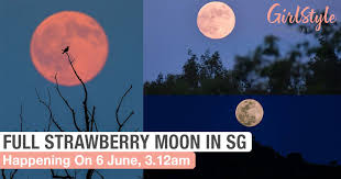 If that's the middle of the afternoon wherever you are, don't worry— according to nasa, it'll look full from wednesday morning, june 23, through saturday morning. Full Strawberry Moon Appearing In Singapore On 6 June 2020 Girlstyle Singapore