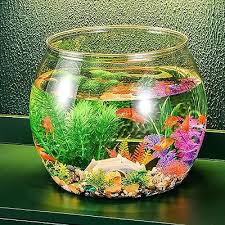 Fish Bowl Bowl Glass Vase Decorative