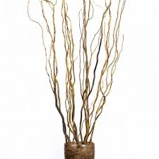 Our passion is creating inventive designs with exquisite detail, executed to perfection, thus delivering the. Botanicals Curly Willow