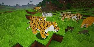 Minecraft zoo mod | catch wild animals and build your own minecraft zoo!! Zoo And Wild Animals Mod Minecraft Apk 1 Download For Android Download Zoo And Wild Animals Mod Minecraft Apk Latest Version Apkfab Com