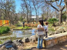 10 fun things to do with kids in austin
