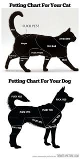 New Petting Chart Memes Chart Memes