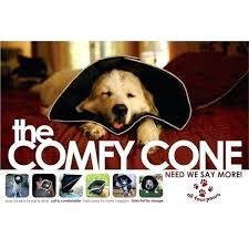 Comfy Cone Pit Bull Terrier In Petco Petsmart Xl Amazon