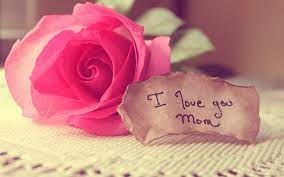 hd wallpaper i love you mom pink rose
