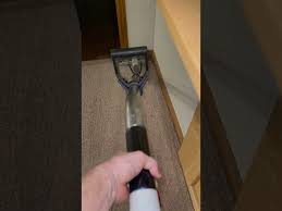 carpet cleaning services in kitchener