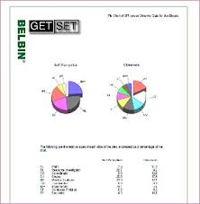 2 Pie Charts Of Self Perception And Observers Belbin Ireland