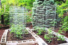 Surganya kebun sayur kebun sayur ngremboko beralamatkan di jatimulyo rt 11 rw 03 kelurahan kricak kec. 7 Konsep Desain Kebun Sayur Mini Untuk Rumah Hemat Kantong