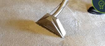 ucm carpet cleaning boca raton