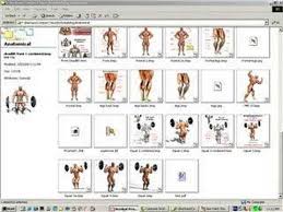 Free Bodybuilding Muscle Anatomy Manual Youtube