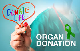 an organ donor