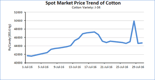 How Will Cotton Behave Over The Next Few Months Textile