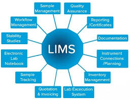 Laboratory Information Management Systems Lims Market By