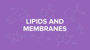 lipidembranes for the mcat