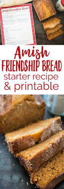 In a separate bowl, mix flour, sugar, baking powder, cinnamon, salt, baking soda, vanilla pudding mix, and nuts. Amish Friendship Bread Starter Recipe In A Bag