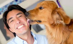 why do dogs give kisses nutrisource