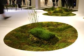 moss carpet bringing nature to your