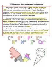 biomolecule coloring review