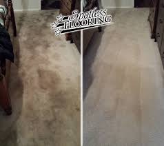 carpet cleaning urine and pet stain areas