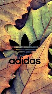 hd adidas logo leaves wallpapers peakpx