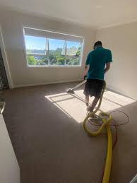 5 best carpet cleaning service in auckland