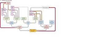 Solved Use The Systems Analysis Flow Chart To Illustrate