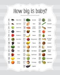Baby Size Chart Week By Week Fruit Comparison Pregnancy