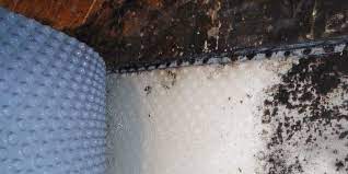 Mold In Basement How To Fix A Moldy