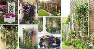 easy diy trellis ideas for your garden