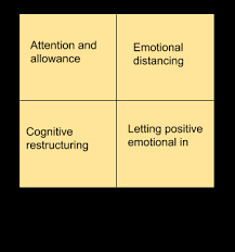 What Is Emotion Regulation 6 Emotional Skills And Strategies