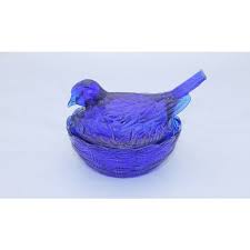 Cobalt Blue Dove On Nest Depression