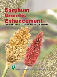 Global Sorghum Genetic Enhancement
