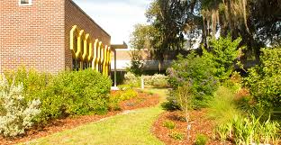 Uf Ifas Facilities Projects Landscape