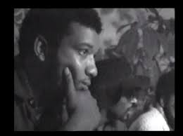 Fred hampton was born in chicago on 30th august 1948 and grew up in maywood, a suburb of the city. Videofreex The Fred Hampton Abbie Hoffman Tapes W Special Guest Eddie Conway Rhizome Dc