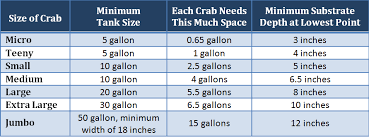Crabitat Tank Size Crab Size How Many Can You Have