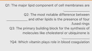 major lipid component of cell membranes