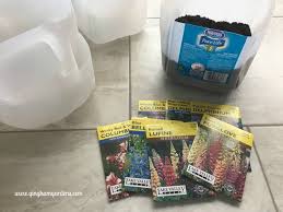winter sowing yes you can garden in