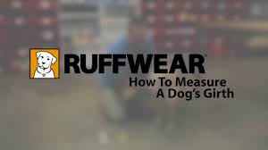 How To Size Ruffwear Dog Gear A Quick Guide To Sizing Dog