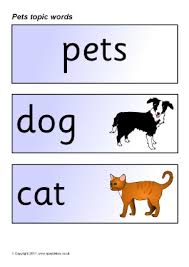 Pet Animals Primary Teaching Resources And Printables