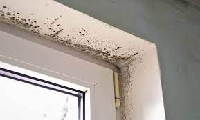 Stop Condensation On Walls In Winter