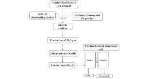 Flow Chart Of Sulfur Recovery Process Via Bio