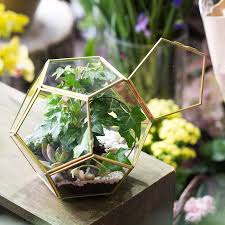 Flower Pot For Succulents Air Plants