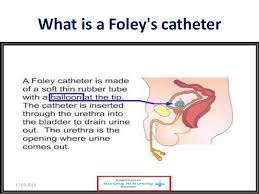 Urinary Catheter Care Skills Asepsis