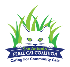 The auckland community cat coalition is a volunteer network of cat carers providing a valuable service to the stray cats of auckland in a thoroughly professional manner. San Antonio Feral Cat Coalition Guidestar Profile