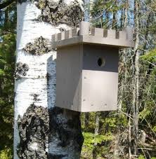Free Simple Birdhouse Plans How To